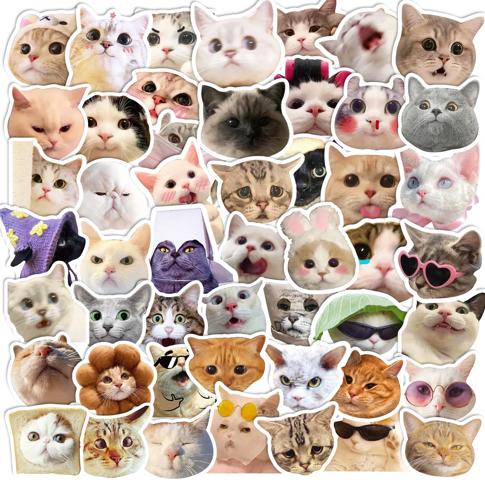 50 PCS Internet Cat Stickers Viral Kitten Meme Graffiti Stickers for Scrapbooking, Cross-border Funny Cat Avatar Decor Stickers