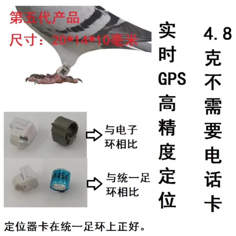 

GPS-трекер для голубей: отслеживание в реальном времени, чип-кольцо для тренировок и гонок, GPS-трекер для голубей