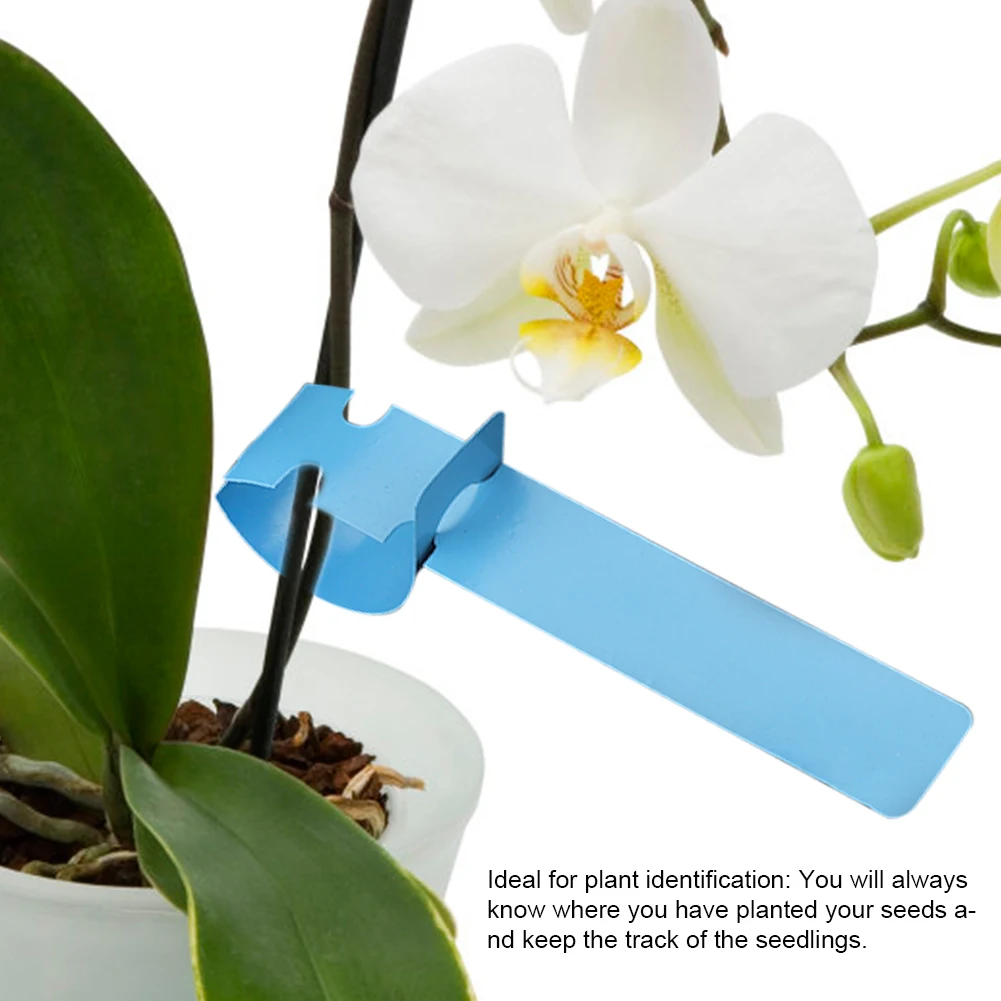 100 Stuks Plant Markers Plastic Kinderkamer Tuin Decor Inzet Tags Plant Labels Gazon Ornament