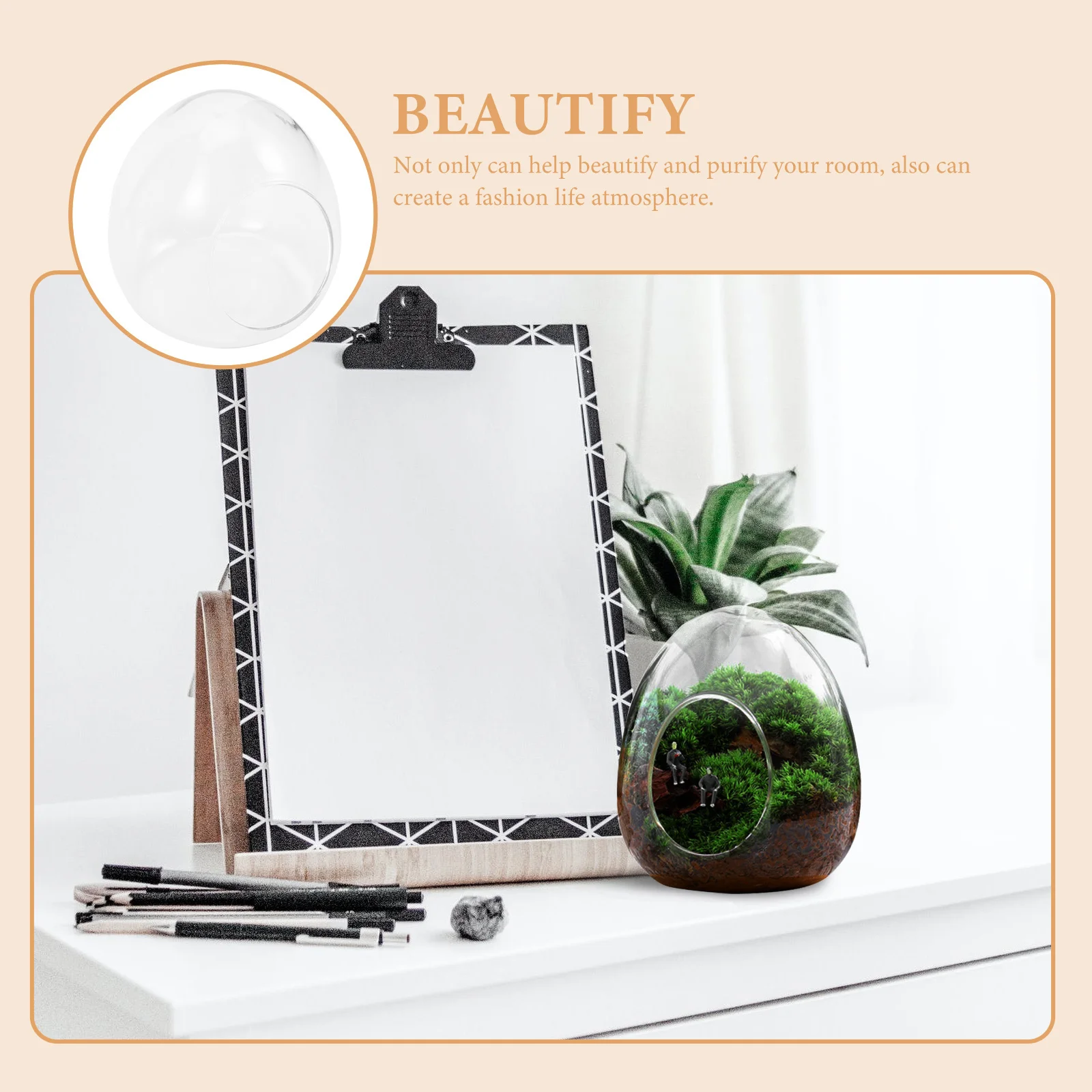 

Micro Landscape Bottle Moss Ecological Bottle Clear Glass Terrarium DIY Plant Propagation Station Home Decor Terrarium