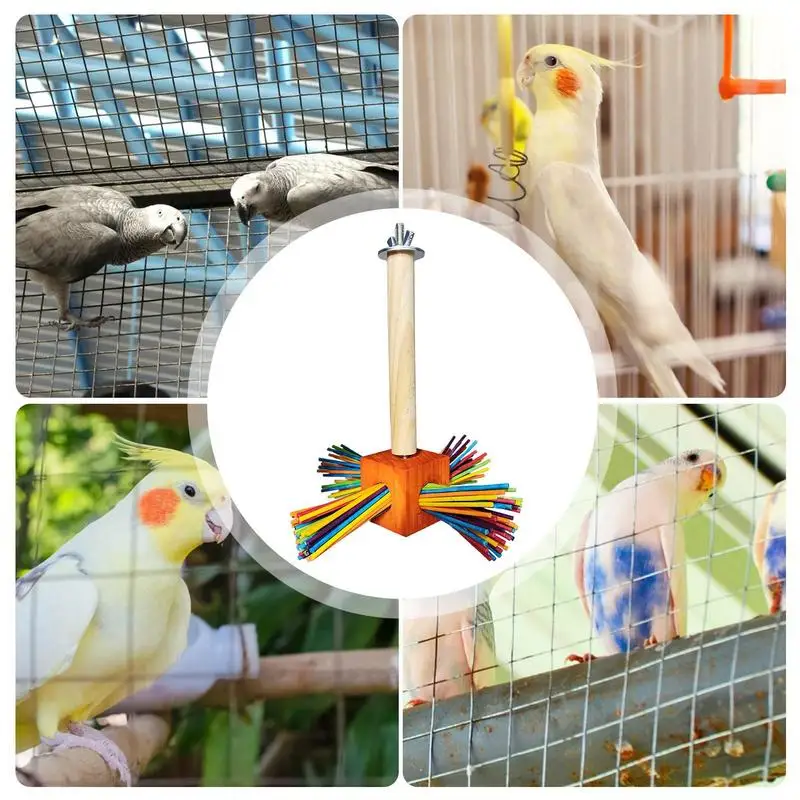 Parrot Toys Bird Chewing Toy Wooden Colorful And Fun Bird Toys For Alexandrine Parakeet African Grey Parrot Small Macaws