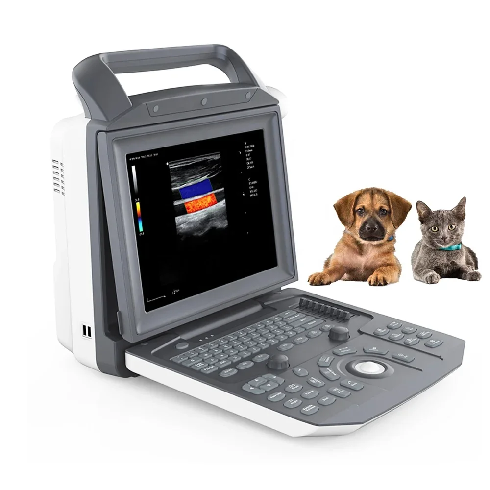 Dog Ultrasound Machine Woman Scanner Veterinary Cardiology OB/GYN 4D Color Doppler