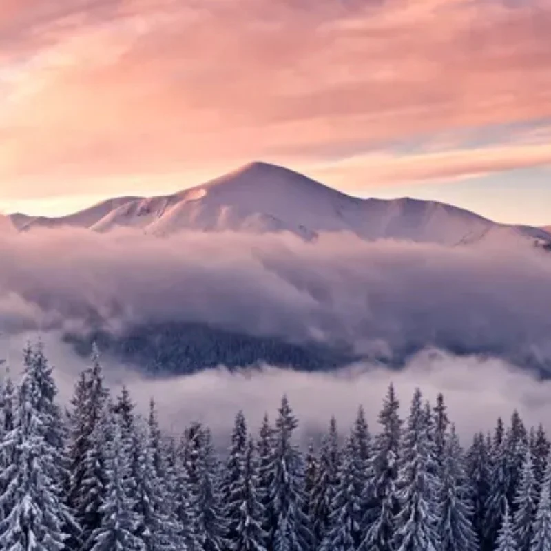 

Бесколлекторный двигатель Axisflying C206 2006 1960KV/2500KV 6S с валом 1,5 мм для 3,5-дюймовых FPV-дронов и DIY-проектов