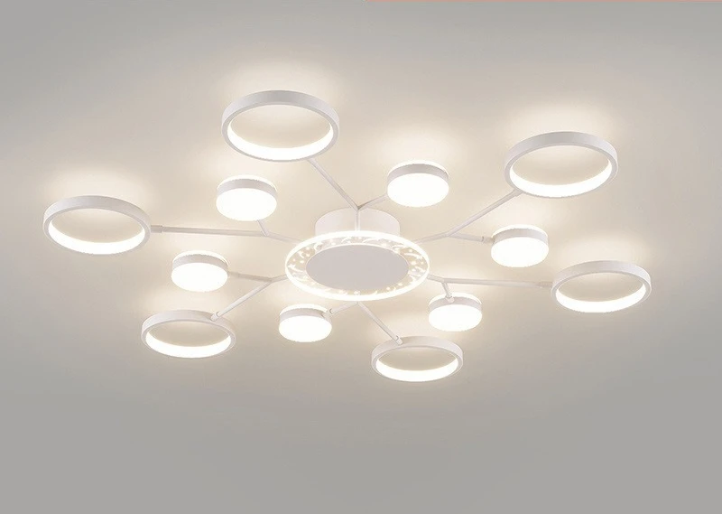 

Modern simple atmospheric main light, new ceiling light combination whole house