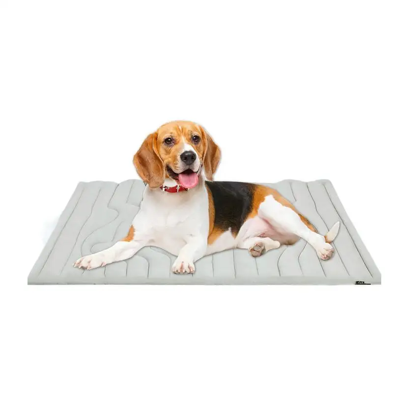 

Pet Ice Pad Double-Sided Cooling Mat for Cats Machine Washable Wear Resistant Pad Sleeping Pad for Floor Car Seats Crate Outdoor