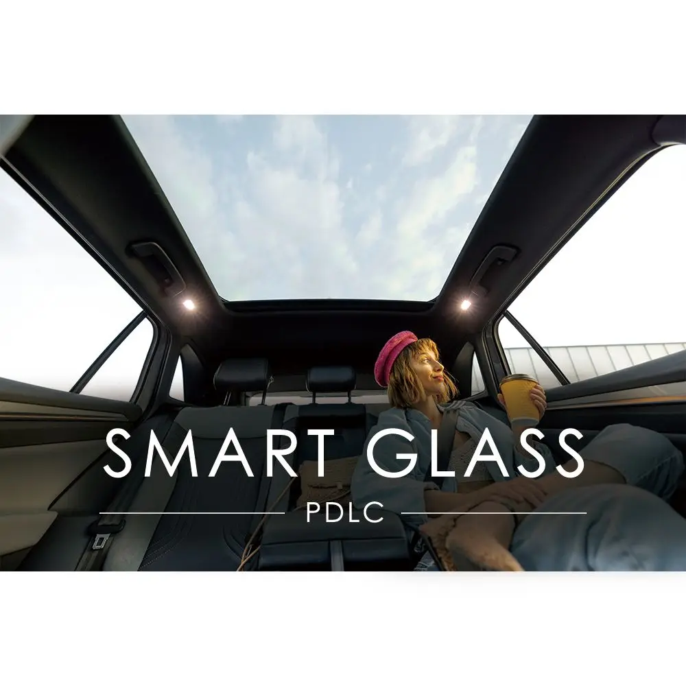 Pdlc Smart Privacy …