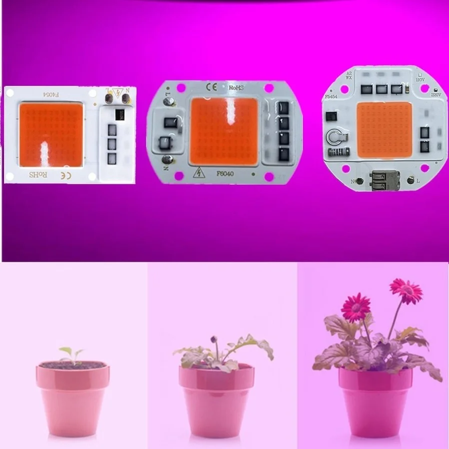 Рисунок 6 - COB светодиодный чип полного спектра