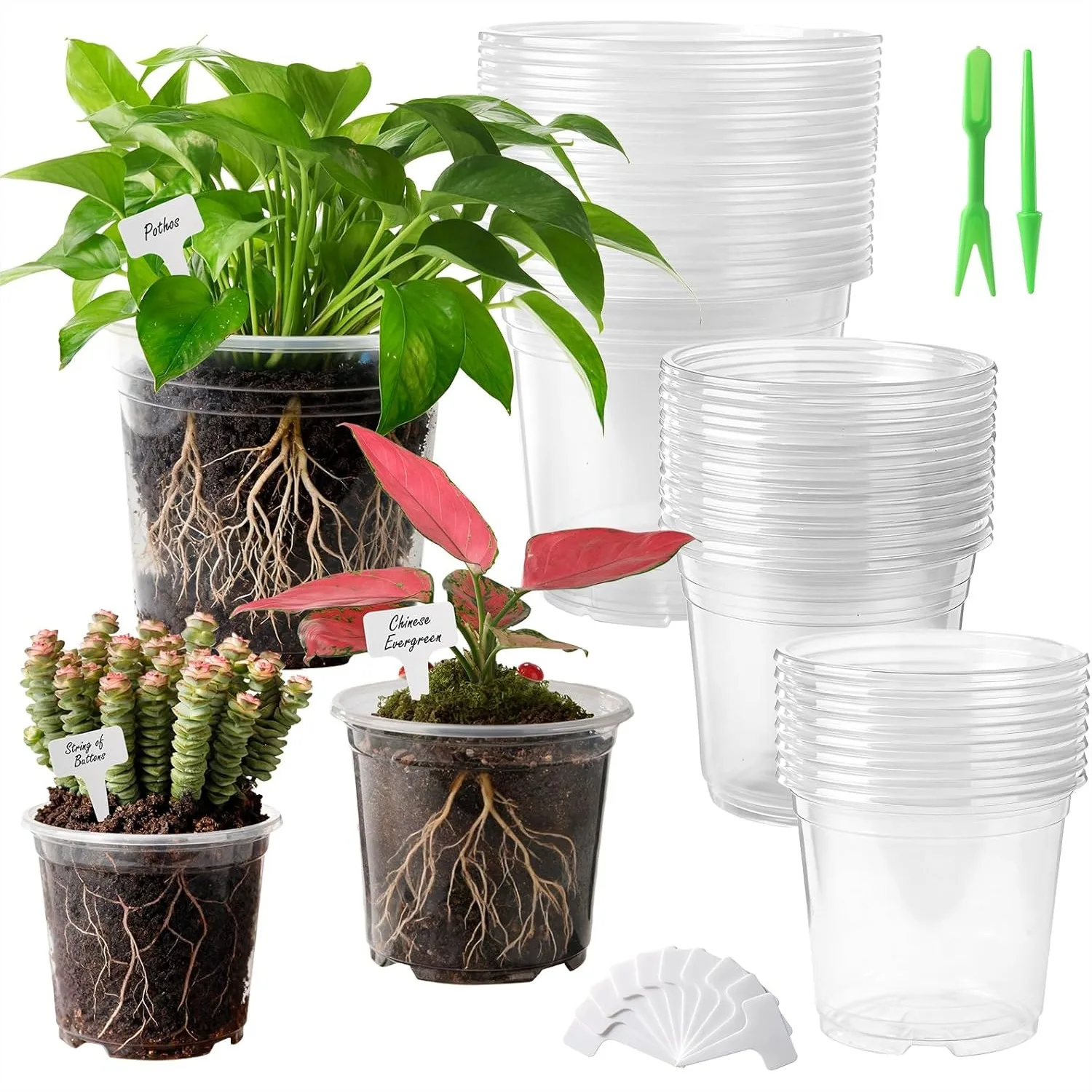 

Clear Nursery Pots 45 Pack 5/6/8 Inch with Drainage Holes, Transparent Plastic Plant Pots with 50 Tags & 2 Mini Tools for Indoor