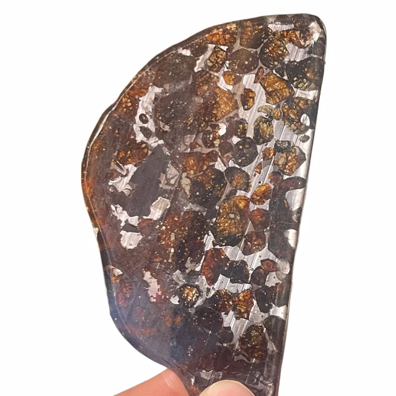 24.2g Sericho Pallastie meteorite slice Olivine Meteorite Natural Specimen Meteorite material Collection - from Kenya -QA828