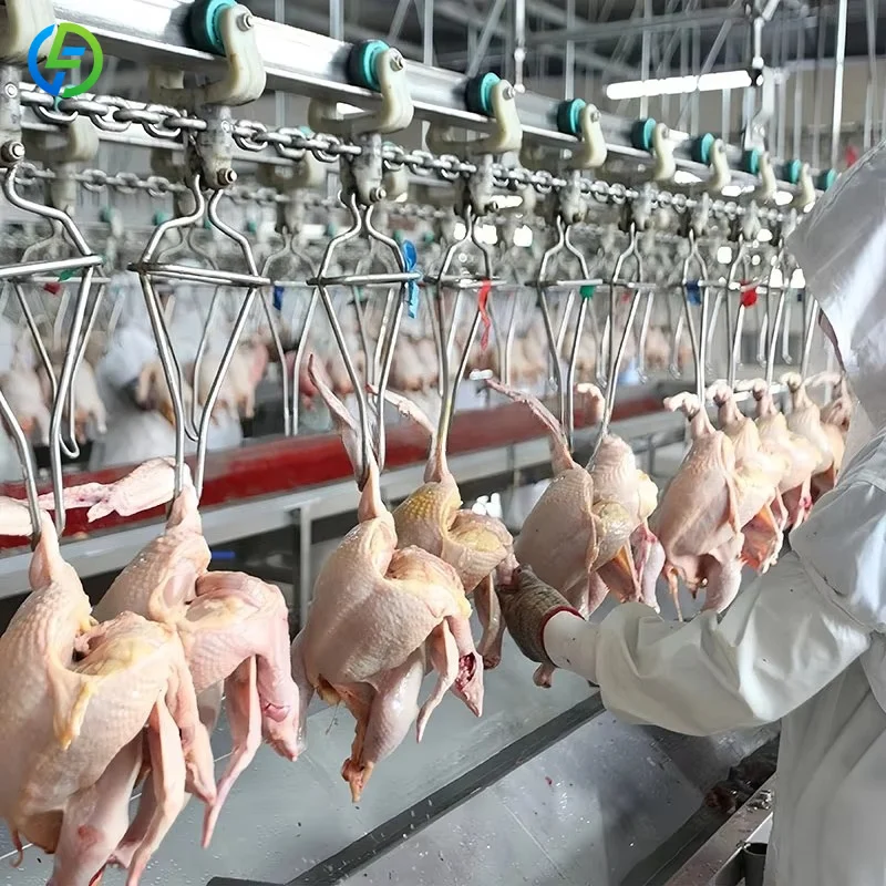 Factory Direct Supply Small Chicken Slaughtering Machine Price Includes Motor Direct Equipments Customized