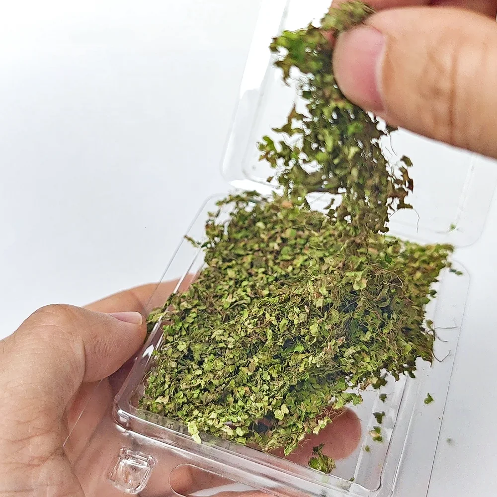 Preserved Moss Sheet - Natural Dried Moss Miniature Scenery Material,