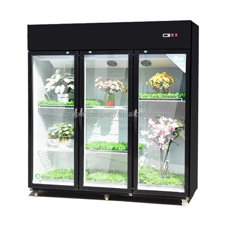 Commercial Cooler Rose Refrigerator Keeping Fresh Glass Door Display Flower