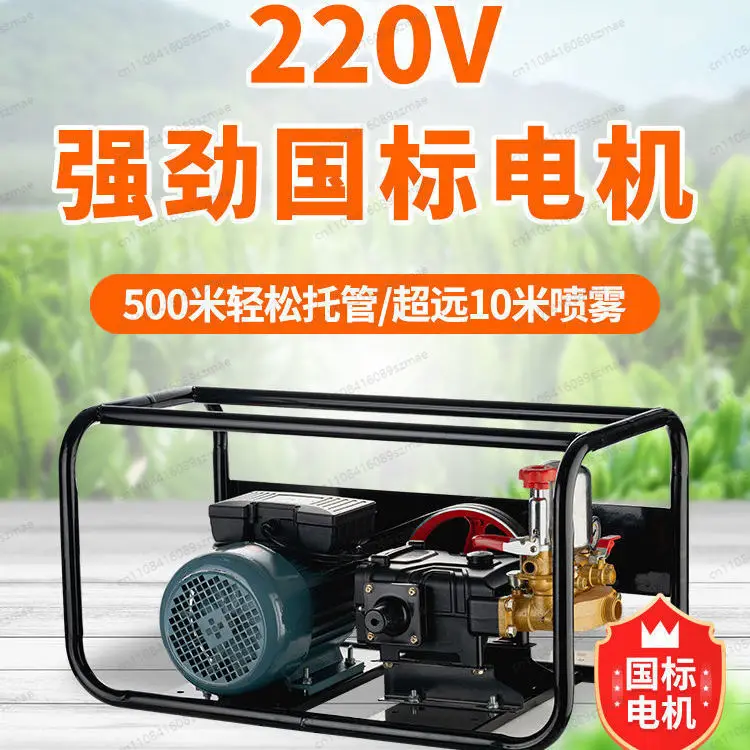 

Электрический распылитель высокого давления 220В, тип 60, для уборки, удаления пыли и распыления тумана