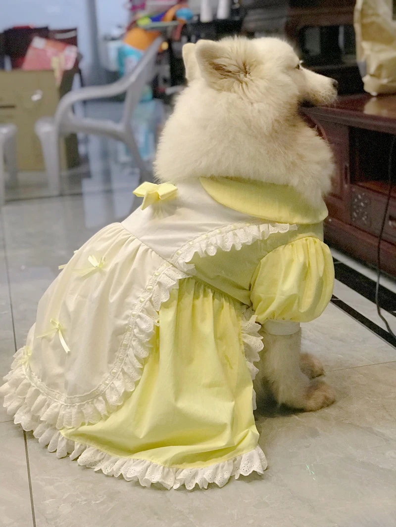 Large Dog Clothes Summer Big Dog Dress maid outfit Samoyed Husky Labrador Golden Retriever Dobermann Sheepdog Clothing Skirt