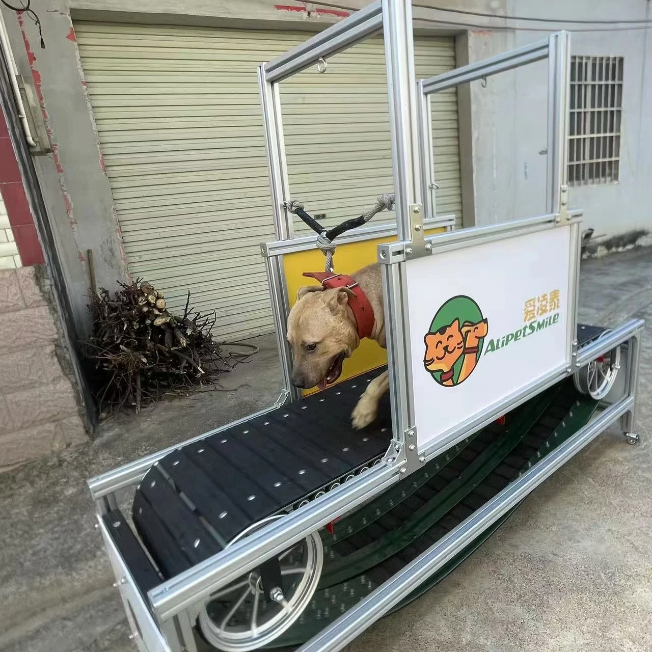 Smooth and Safe Dog Treadmill Walking Machine for Small and Large Pets