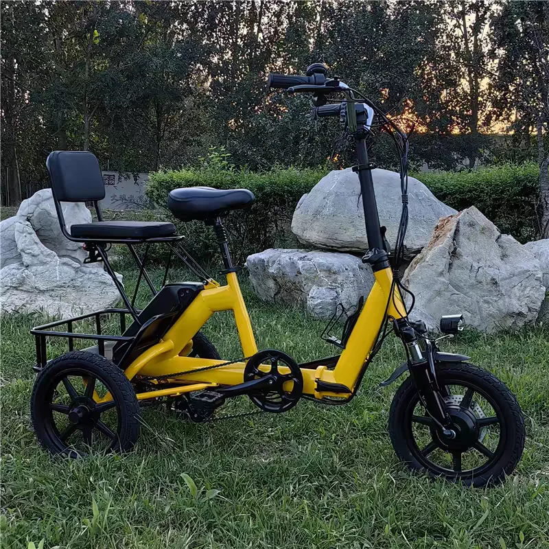 Adult Electric Tricycle Small Foldable Electric Bike 3Wheel 14Inch Tires 350W10AH Parent-child Setting Portable Electric Bicycle