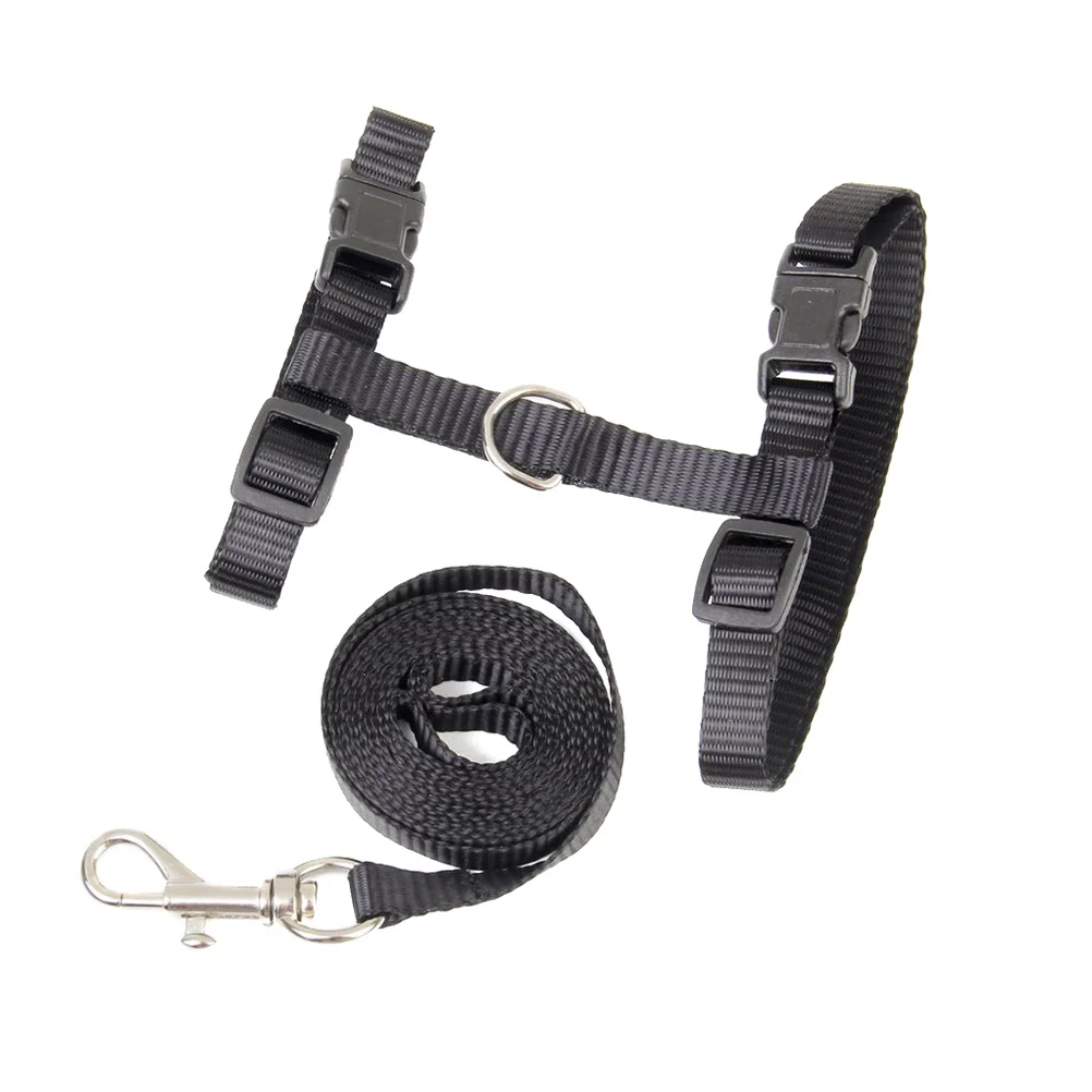 

Pet Cat Harness and Leash Set Black Adjustable Nylon Traction Rope for Secure Walks Small Animal Safety Collar
