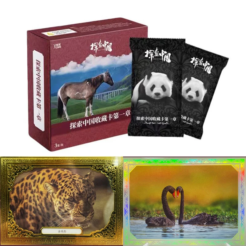 

Коллекционные карты NEWXCARD Explore China — серия 1: Карты для фотосъемки приключений Карты художника с автографом