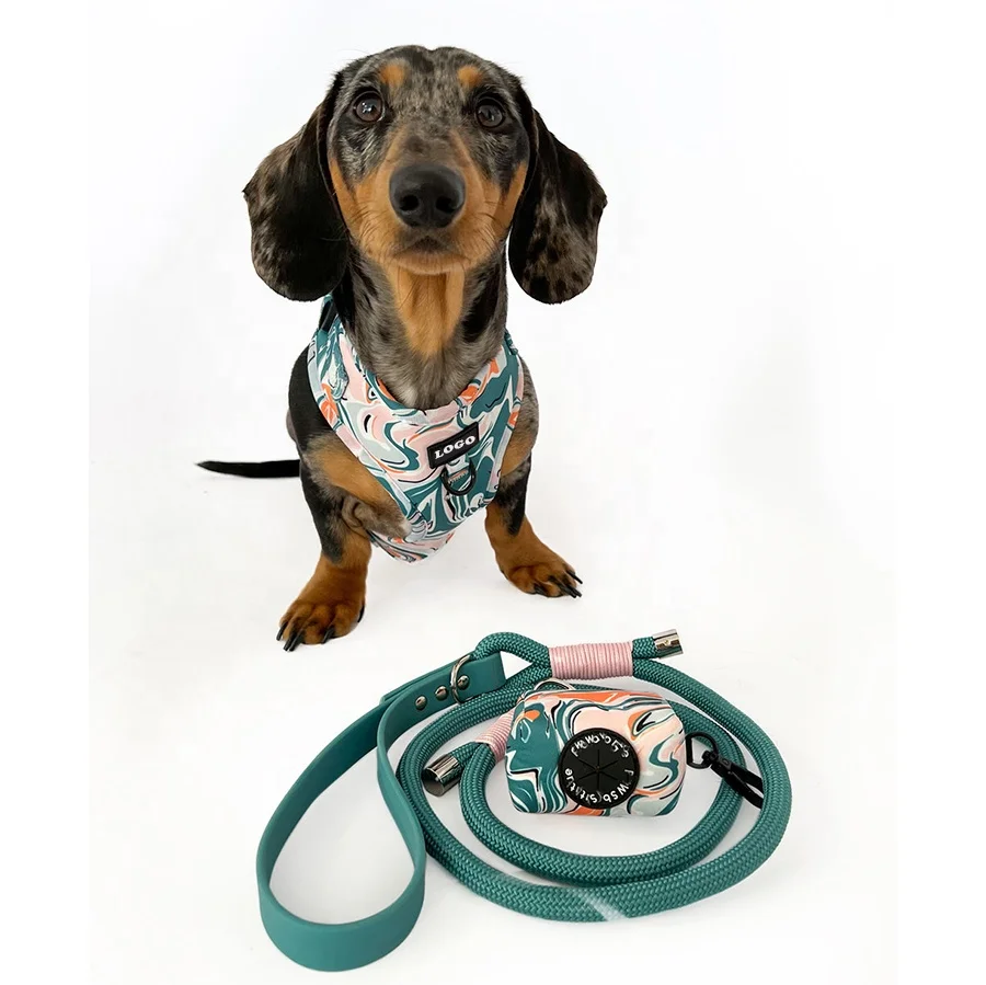 New design Mountain Climbing Swivel Hook Custom luxury Handmade Slip Pet Lead Round Nylon rope Dog leash with PVC handle