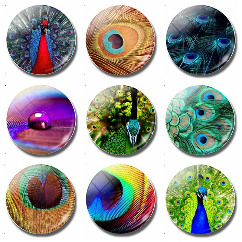 1PC Peacock feather 30mm refrigerator sticker, glass dome magnetic refrigerator sticker, note holder, home decoration