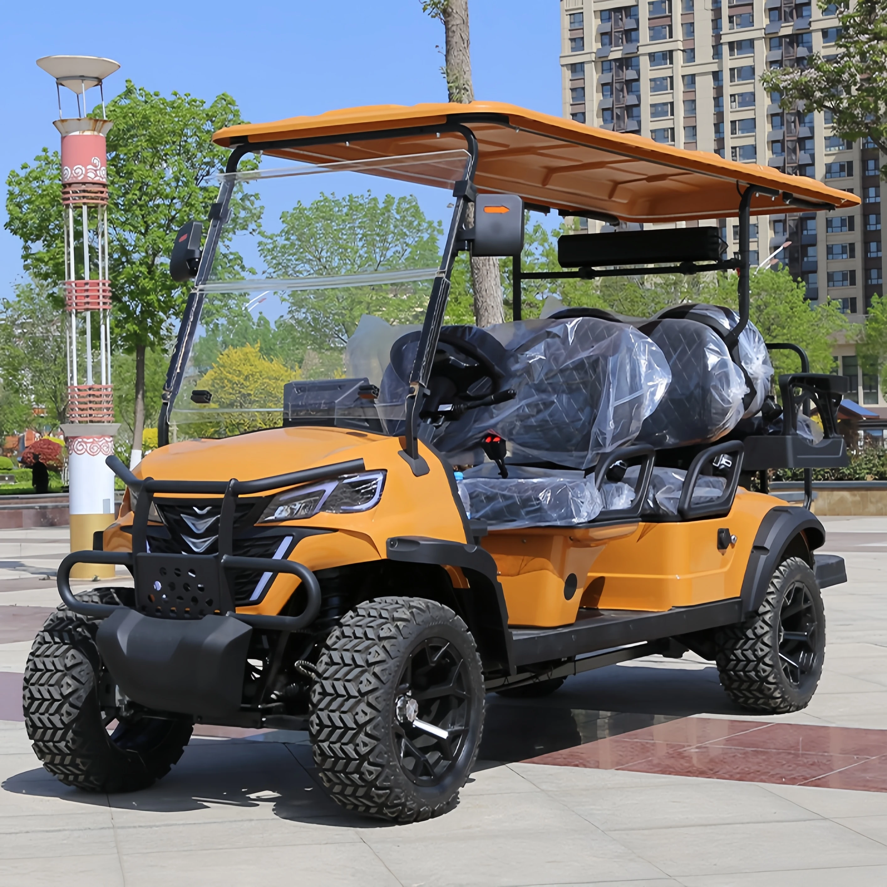 Best Price Lithium Battery customized electric 2 seater Electric Golf cart