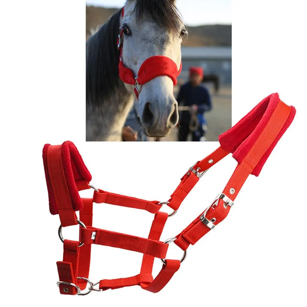 

Thick Webbing Padded Horse Halter Adjustable Fleece Headstall Bridle Horse Collar for Training and Stable Use