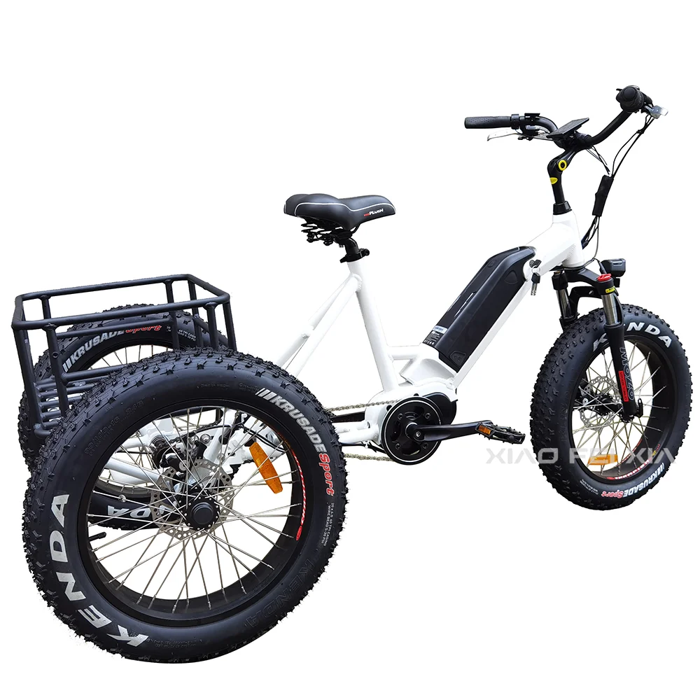 48V 350w/500w/750w Mid Drive Trike 15Ah Removable Lithium Battery 24