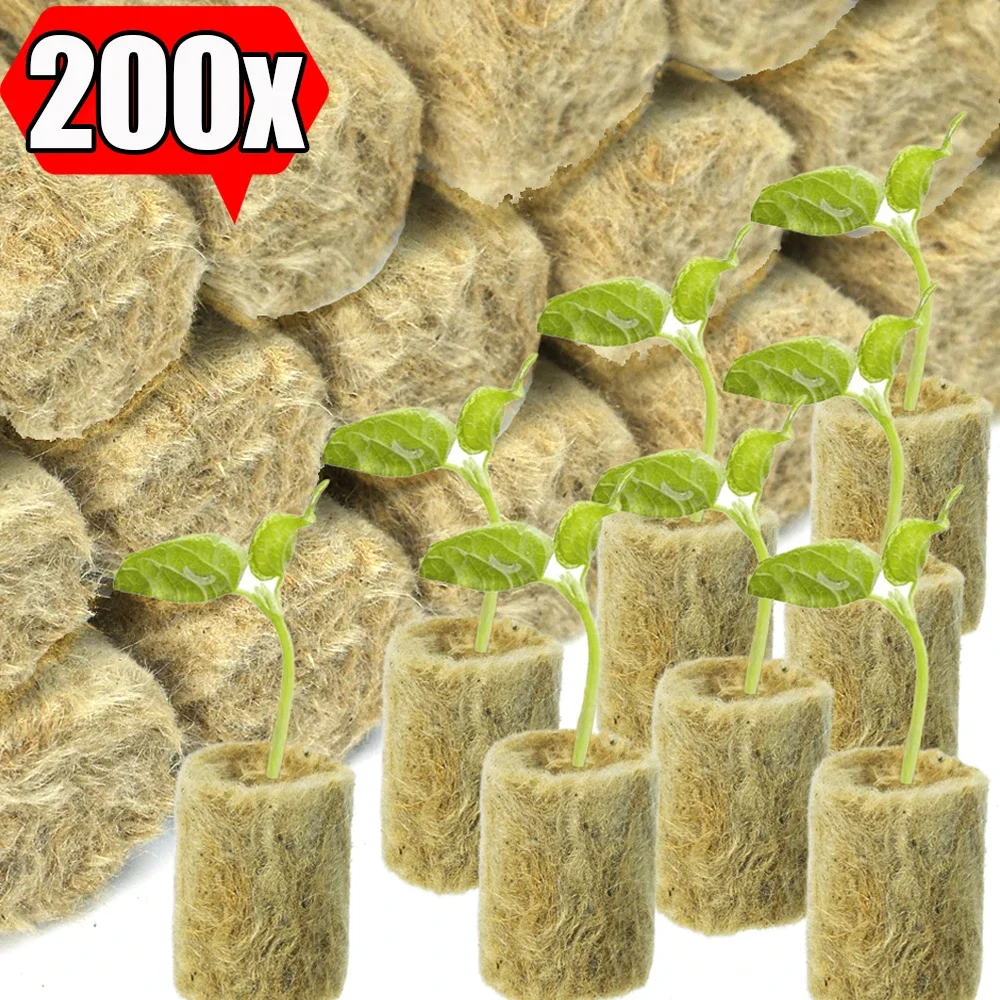 200/10PCS Hydrocultuur Grow Media Zaailing Grow Plug Cubes Plant Grondloze Substraat Gezaaid Rotswol Plug Zaailing Kwekerij potten