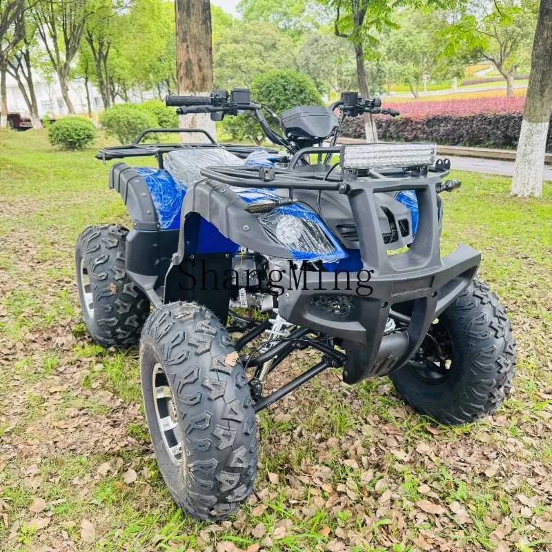 LXY Big Bull Off-Road ATV Jungle Crossing Scenic Area Rental Quad Motorcycle