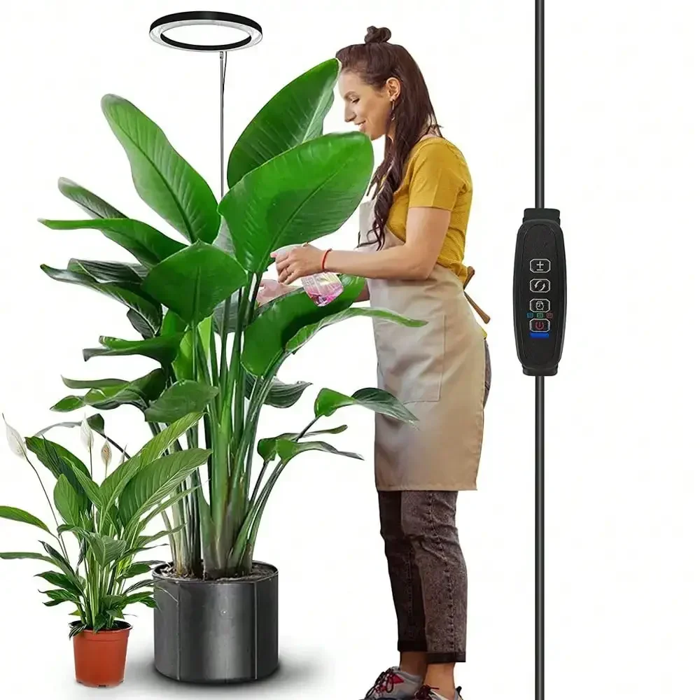 1 Set USB Traditional Full Spectrum Plant Light, Modern Round Disk Floor Lamp For Potted Plants, Dimmable Timing Spectrum Switch Growth Lamp For Home Use