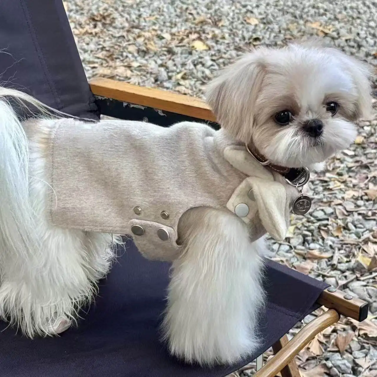 

Новая зимняя повседневная теплая одежда для собак: бежево-серое пальто для щенков, для маленьких и средних пород, включая йорков, 2026