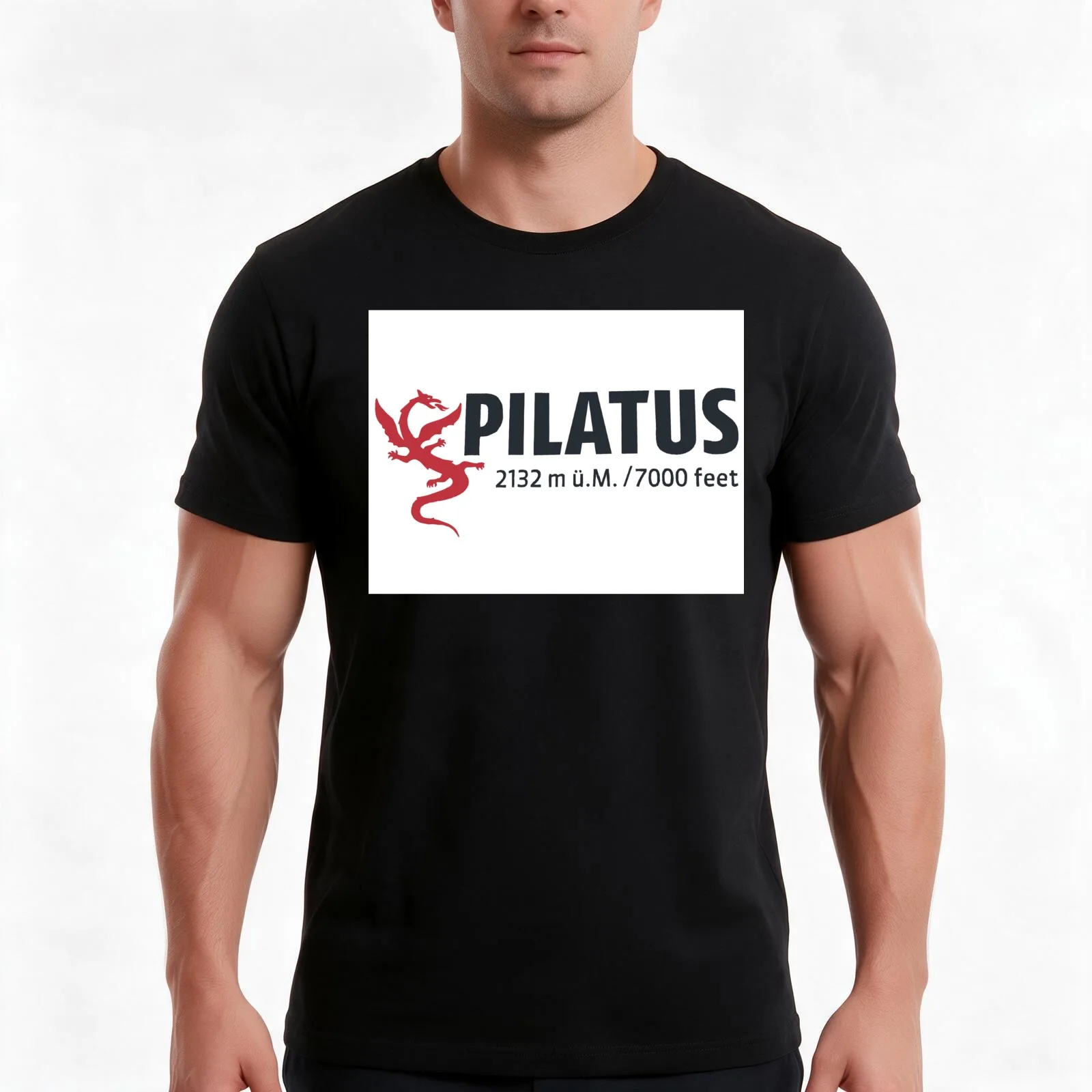 Pilatus, Swiss Alps T-Shirt, Summer Casual Cotton Tee, Oversized Streetwear Tops, Vintage Graphic Print, Loose Fit Short Sleeve