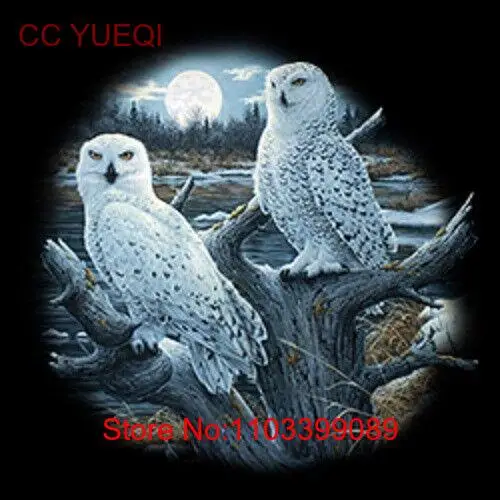 Размеры/цвета футболок с изображением заснеженных сов