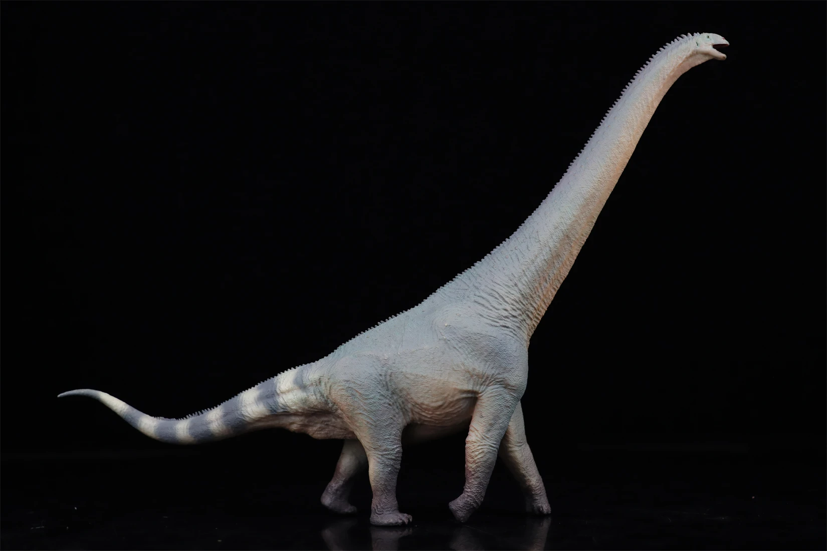 HAOLONGGOOD 1:35 Euhelopus モデル Sauropoda 恐竜 Euhelopodae 動物フィギュアコレクションシーン装飾誕生日ギフト