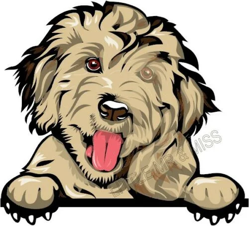 For GROODLE GOLDENDOODLE OODLE Peeking Dog Window Wall Laptop Color Sticker