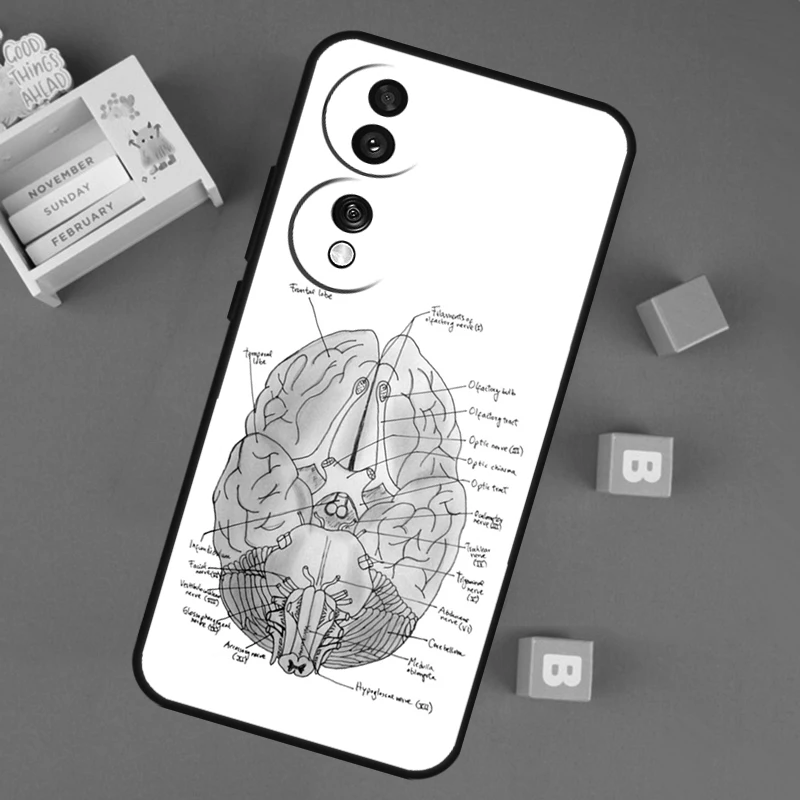 Anatomy Brain Case For Honor X9b X8b X7 X8 X9 X6a X7a X8a X9a Cover For Honor Magic 5 6 Pro 50 70 90 Lite