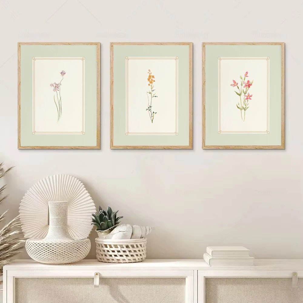 Antique Botanical Mint Green Floral Plants Illustration Poster And Prints Canvas Painting Aesthetic Wall Art Pictures Home Decor