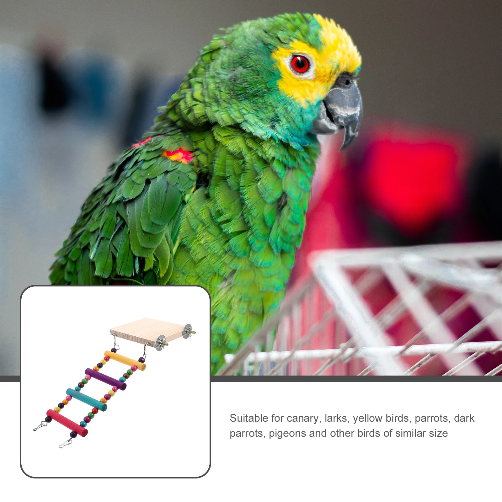 

Bird Perch For Parrot Cockatiel Canary Large Stable Ladder Stand Plaything Pet Cage Cockatiel Ladder Perch Accessory