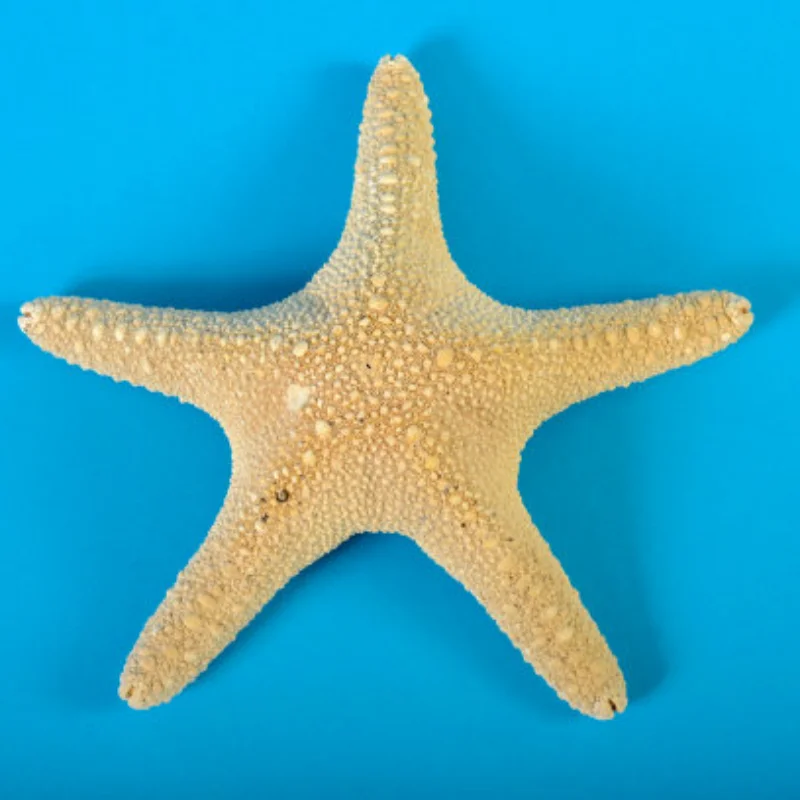 

Комплект из 4 металлических дисков Beadlock 1.0 дюйма с резиновыми шинами и шестигранником в подарок для радиоуправляемых моделей 1/24 Axial SCX24 C10 90081 AXI00001 AXI00002 Micro Crawler Car