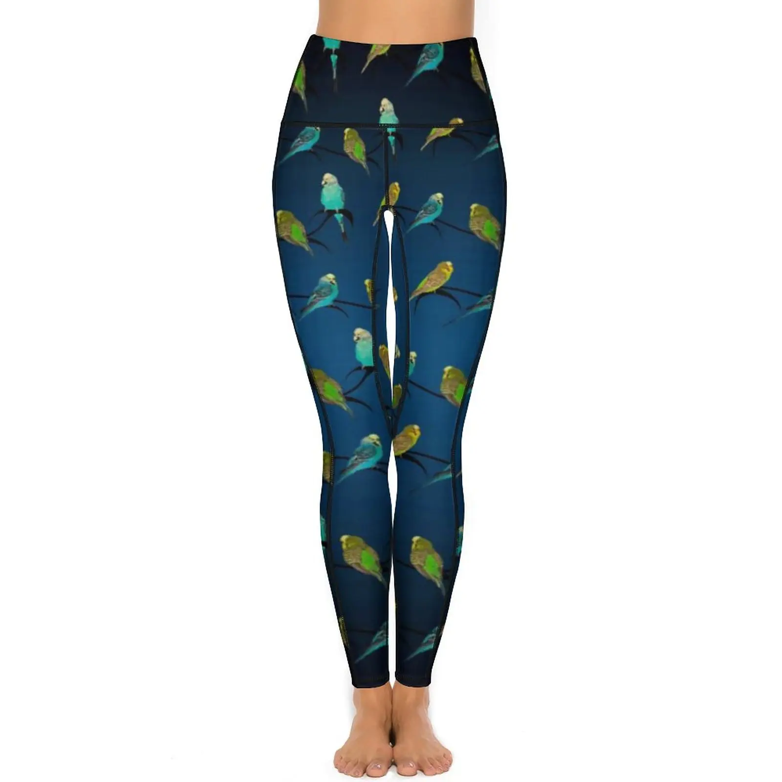 Birds Pet Print Leggings Sexy Budgie Frenzy Work Out Yoga Pants High Waist Stretch Sports Tights Breathable Design Leggins Gift