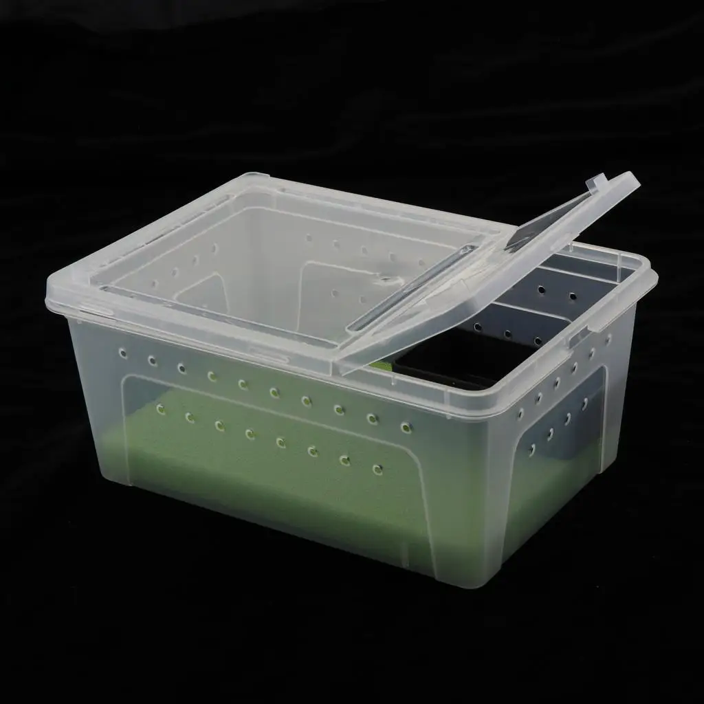 

Transparent Box Reptile Transport Breeding Live Food Feeding Box