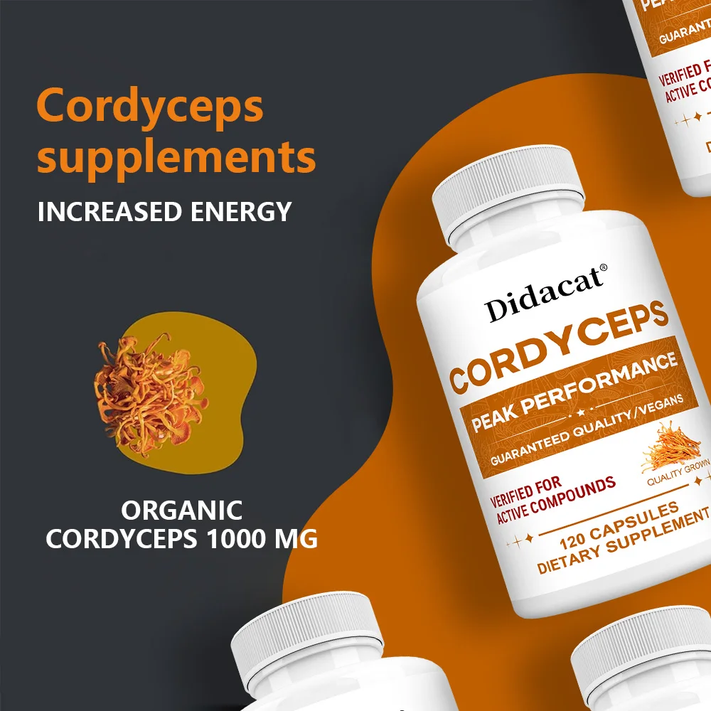 Cordyceps Mushroom Capsules 10 - Health Wellness & Nutrition Center Llc recensie en prijs