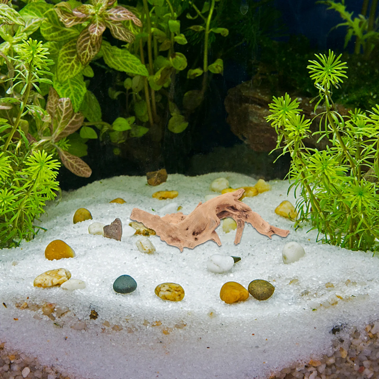 

2Pcs Natural Driftwood Fish Tank Decoration Aquarium Wood Craft Landscape Realistic Fish Tank Supplies Driftwood for Aquarium