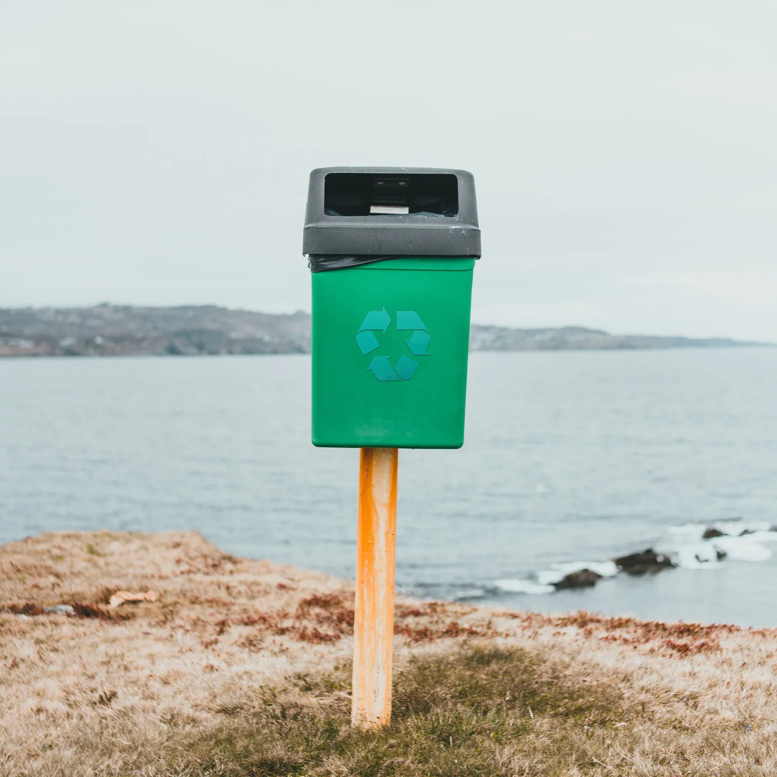 

4 шт. зеленых наклеек с логотипом экологической безопасности, самоклеящиеся, для мусорных баков, контейнеров, банок, окон, стен, дверей, для использования внутри помещений