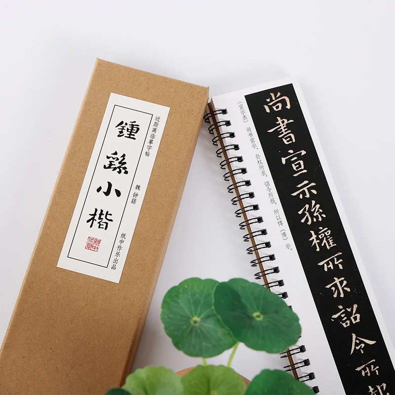 Complete Collection Calligraphy Copybook Professional Small Regular Script Brush Calligraphy Tracing Practice Character Copybook