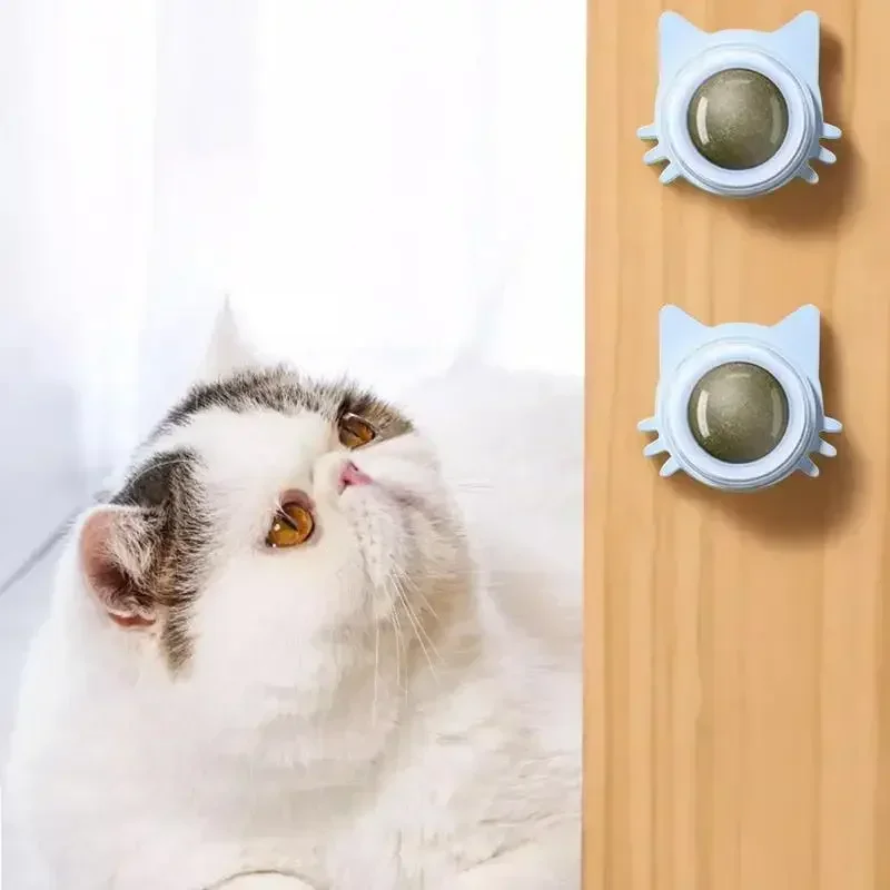 Catnip Toys for Cats Indoor Interactive Wall Spin Ball Natural Mint Enhances Digestion Appetite Stimulant Cat Dental Care - view 6