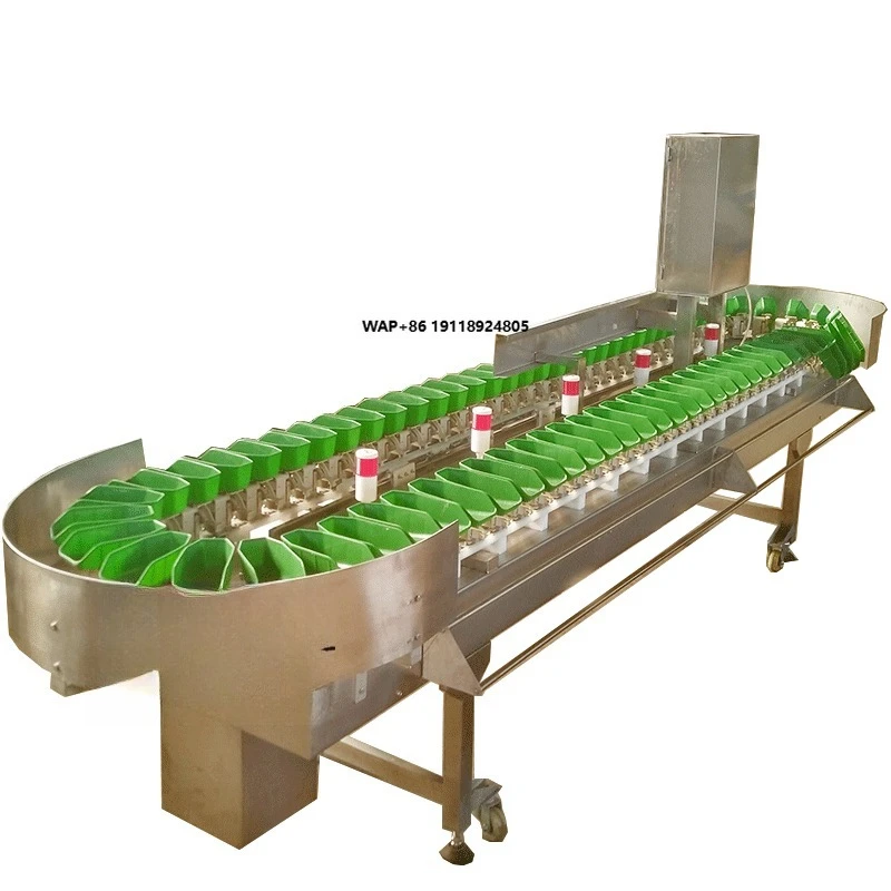 High Quality Blueberry Grading Sorting Machine Fruit Grader Sorter Machine