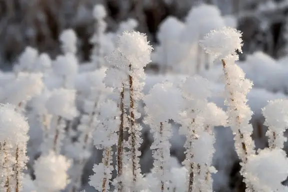 Dsservo 35 كجم DS3235 PRO أجهزة رقمية الصلب والعتاد Coreless موتور مقاوم للماء ل 1:8 1:10 1:12 RC سيارة روبوت الزاحف