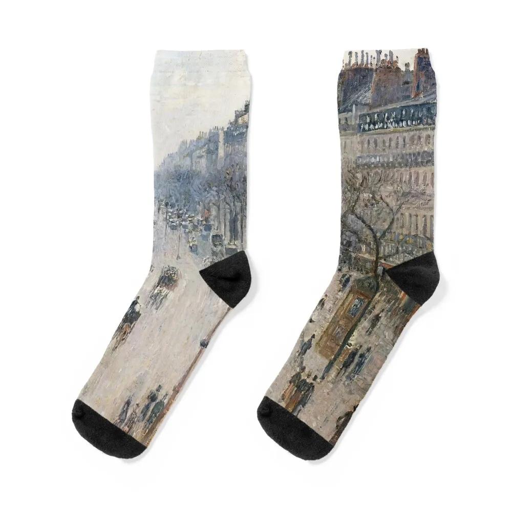 

camille pissarro famous paintings, camille pissarro artwork, camille pissarro self portrait Socks warm winter Socks Women Men's