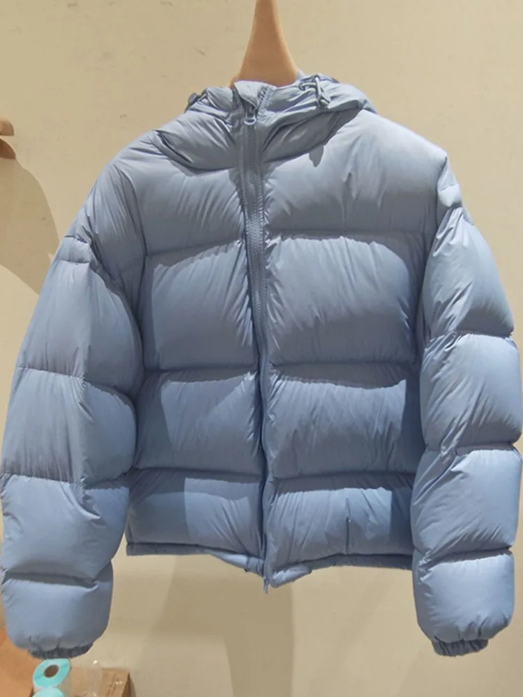 

Модная утепленная синяя куртка из хлопка для женщин, новая зимняя модель, простой воротник-стойка, универсальная верхняя одежда в корейском стиле, свободный крой.